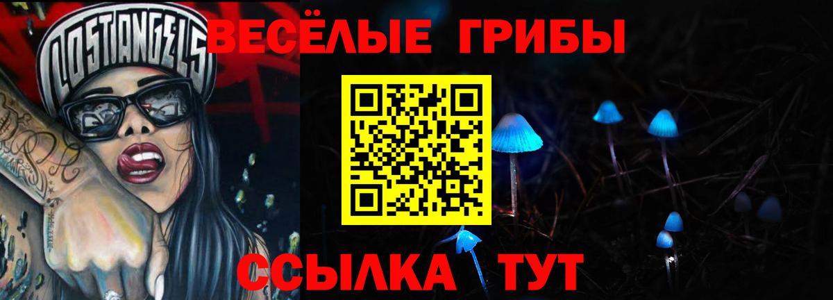 Псилоцибиновые грибы прущие грибы  наркошоп  Вичуга  Вход с VPN  Псилоцибиновые грибы MAGIC MUSHROOMS 